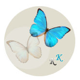 schmetterling001056.jpg