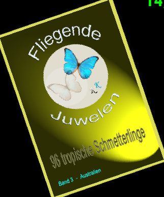 schmetterling021064.jpg