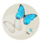 schmetterling0280204.jpg