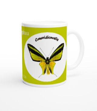 schmetterling041075.jpg