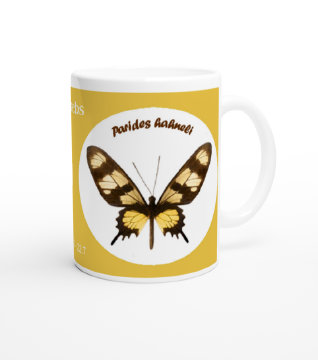 schmetterling041077.jpg