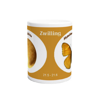 schmetterling041082.jpg
