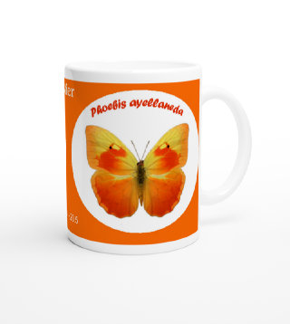 schmetterling041085.jpg