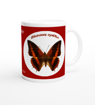 schmetterling041086.jpg