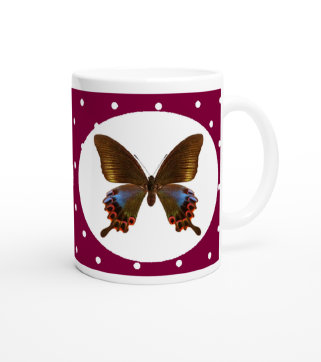 schmetterling042063.jpg
