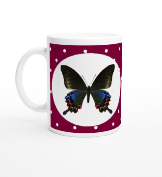 schmetterling042067.jpg