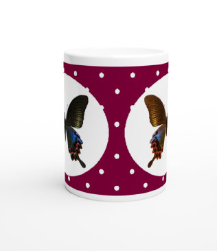 schmetterling042071.jpg