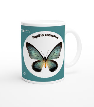 schmetterling042079.jpg