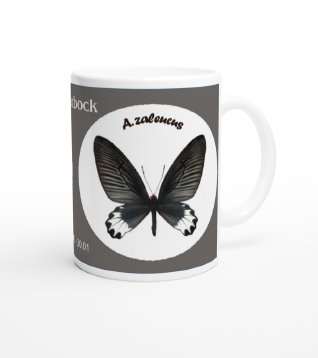 schmetterling042080.jpg