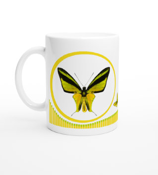 schmetterling043061.jpg