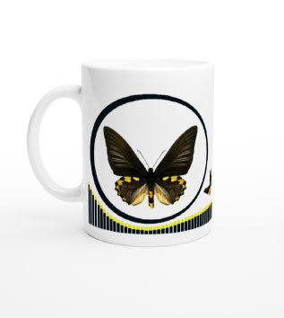 schmetterling043062.jpg