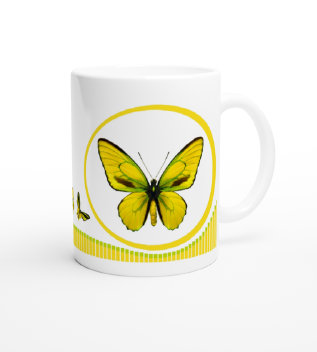 schmetterling043069.jpg