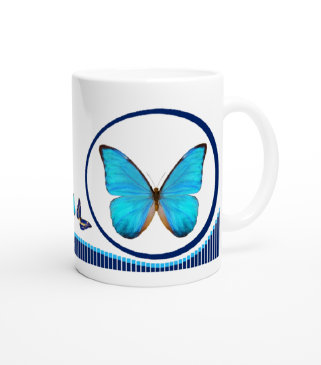 schmetterling043071.jpg