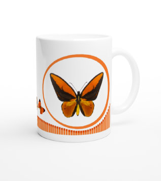 schmetterling043072.jpg