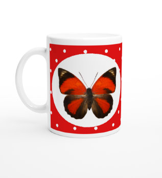 schmetterling043073.jpg