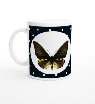 schmetterling043074.jpg