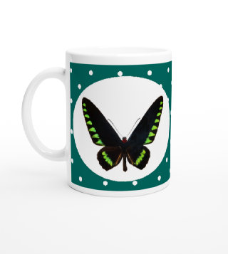 schmetterling043076.jpg