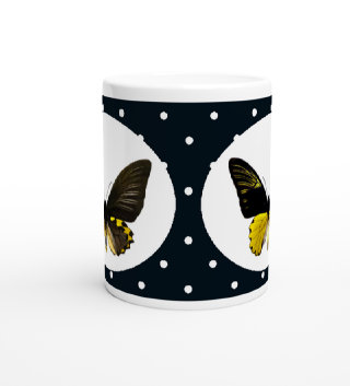 schmetterling043079.jpg