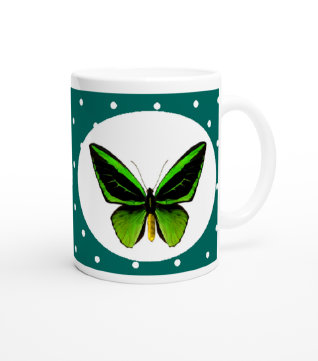 schmetterling043081.jpg