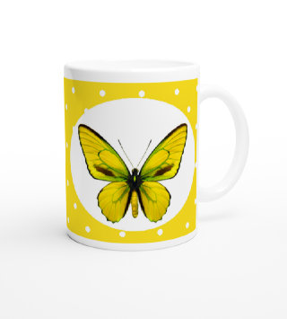 schmetterling043082.jpg