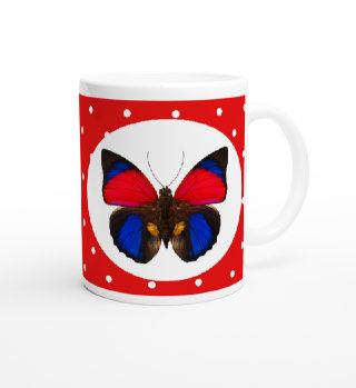 schmetterling043084.jpg