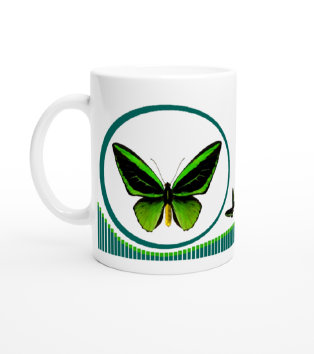 schmetterling044062.jpg
