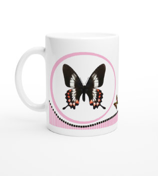 schmetterling044063.jpg
