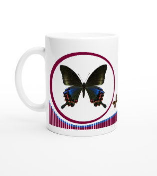 schmetterling044064.jpg