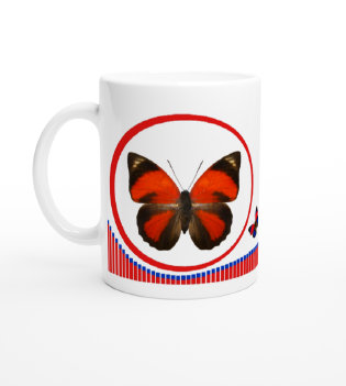 schmetterling044065.jpg