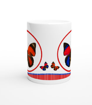 schmetterling044069.jpg