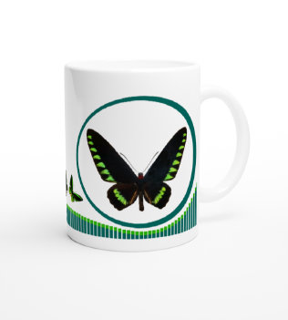 schmetterling044070.jpg