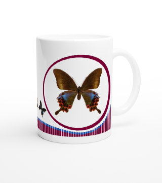 schmetterling044072.jpg