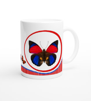 schmetterling044073.jpg